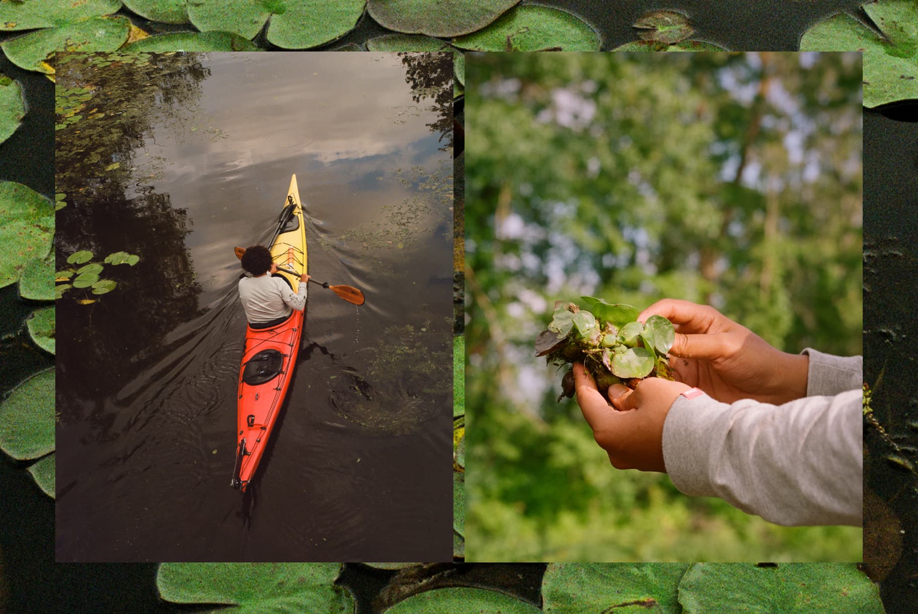 My Backyard: Learning to Love the Nature Around You