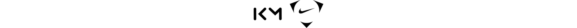 NSW Logo