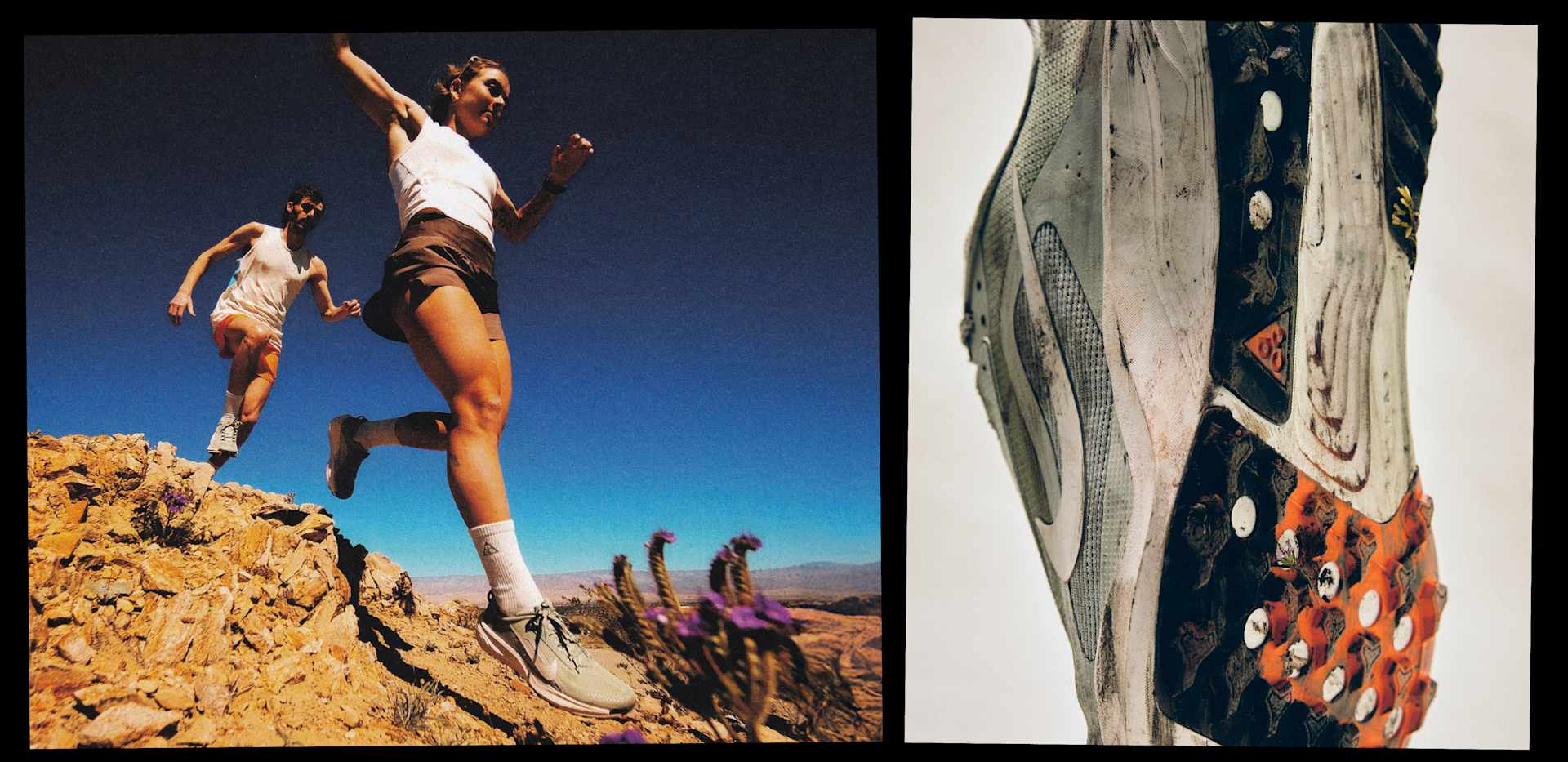 All-Terrain Horsepower