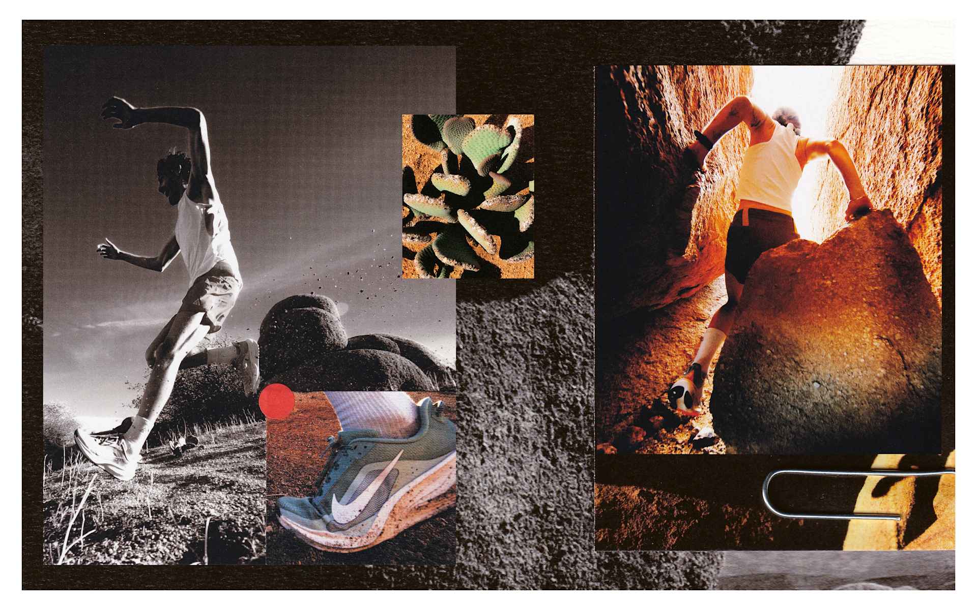 ACG Pegasus Trail: raport terenowy z Joshua Tree