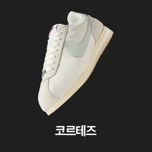 여성 신발, 의류 및 액세서리