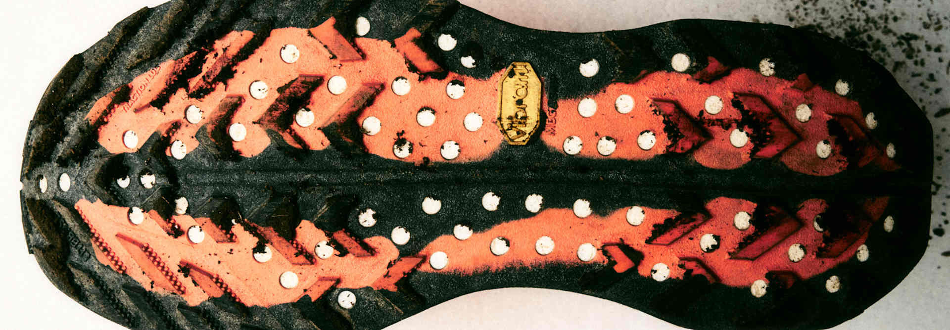 Women's Shoes, Clothing & Accessories