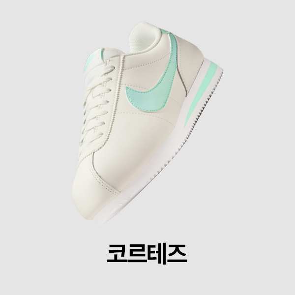 여성 신발, 의류 및 액세서리