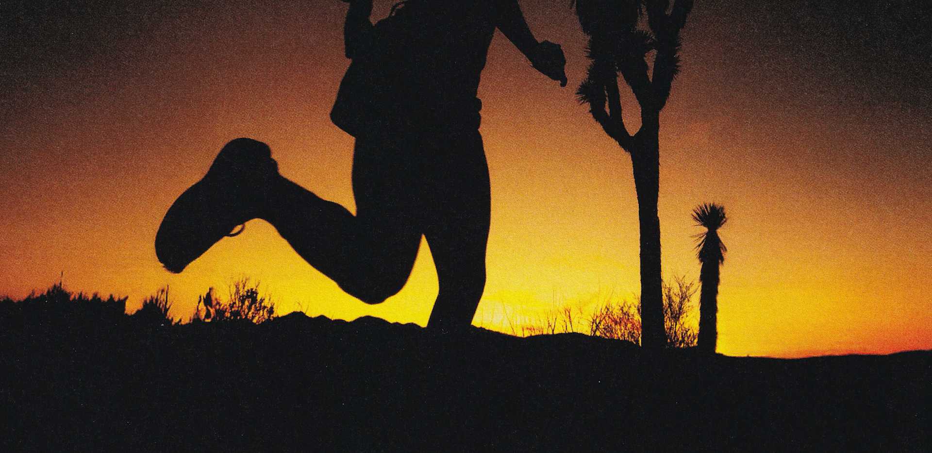 ACG Pegasus Trail - verslag vanuit Joshua Tree