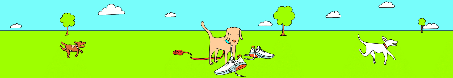 Köpeğinle Nasıl Koşarsın?
