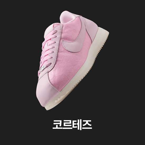 여성 신발, 의류 및 액세서리
