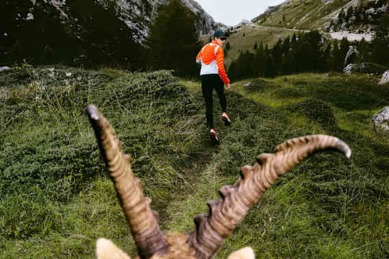 Ultrafly Dispatch, slide 2 of 3