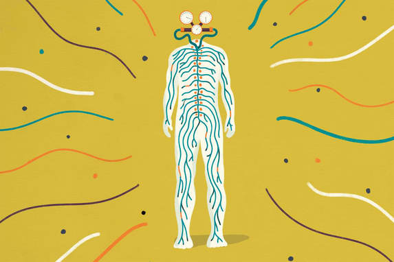 What Is Nervous System Regulation—And How Do You Do It?