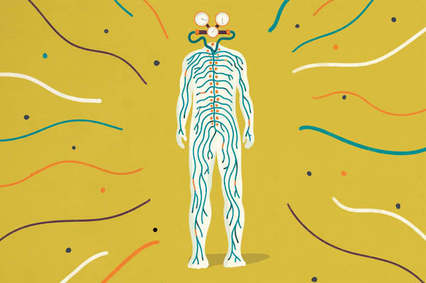 What Is Nervous System Regulation — And How Do You Do It?