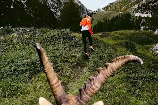 Dziennik ACG, slide 1 of 5