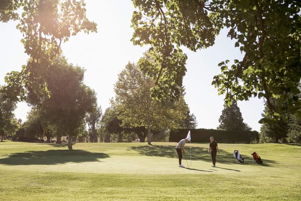 Best Nike Golf Gear for Beginners