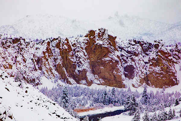 ACG Journal, slide 3 of 3