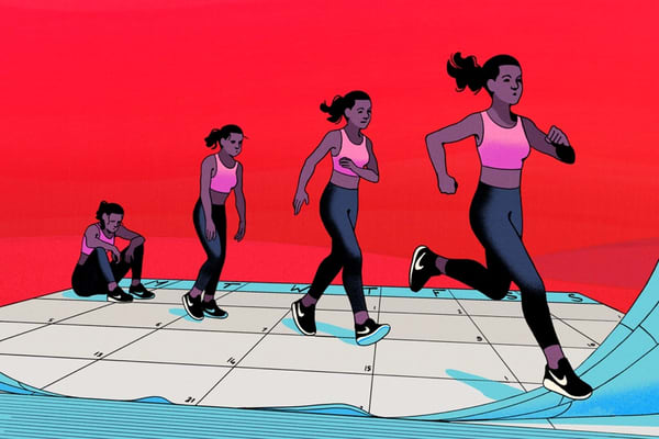 ¿Qué son los entrenamientos de referencia y cómo se usan?