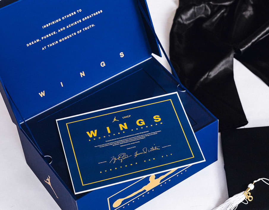 JORDAN BRAND WINGS