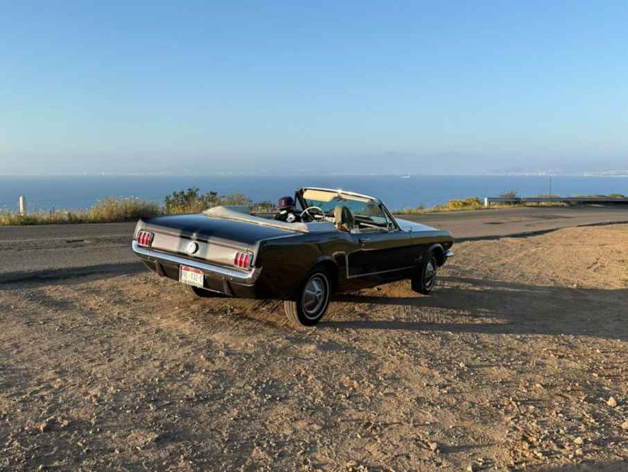 Jordan Trunner Bad Cruz