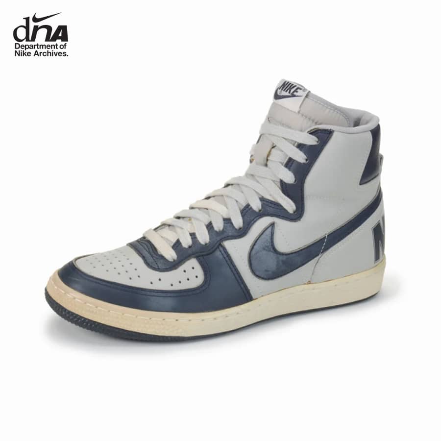 Nike dunk history top