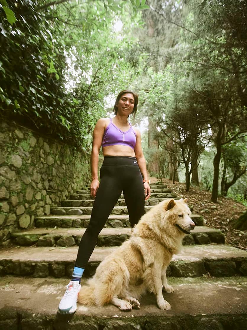 ropa nike para perros