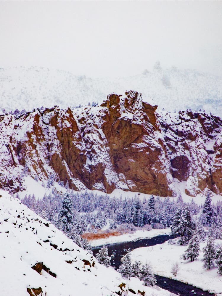 nike air max 270 in gold