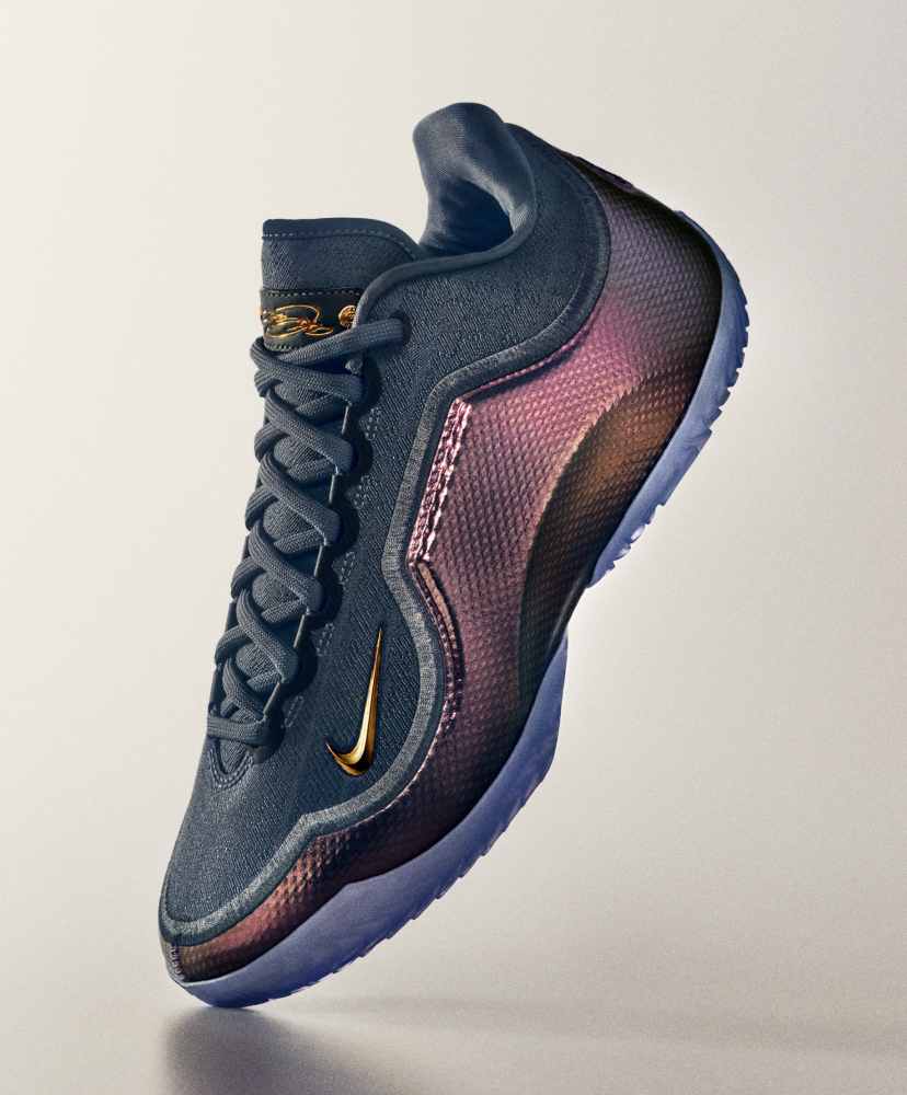 nike air lebron shoes