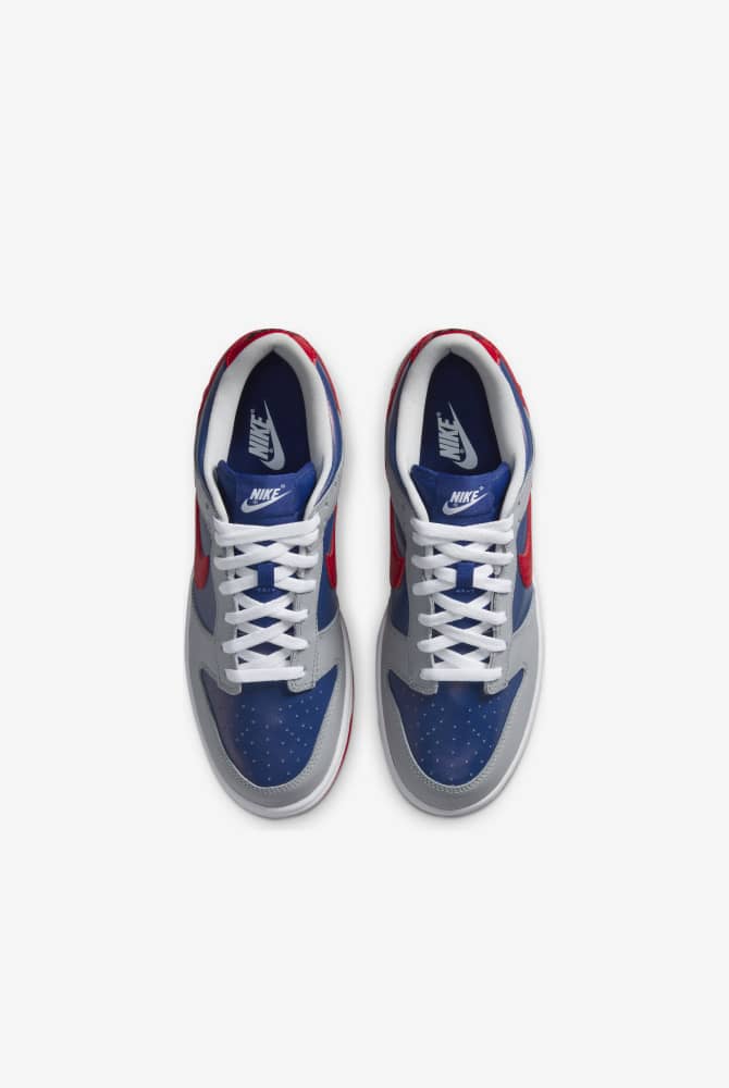 NIKE DUNK SAMBA. Nike AR