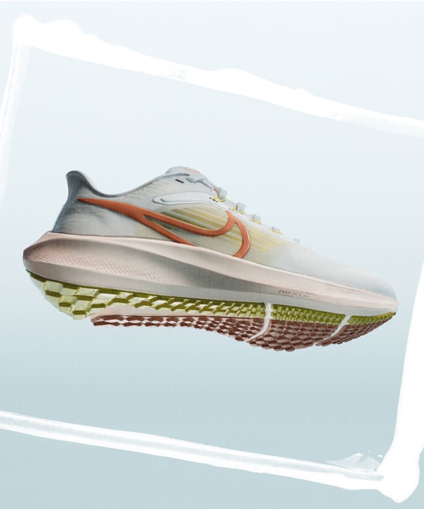 Nike pegasus shop old