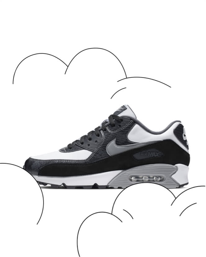 nike air max pictures