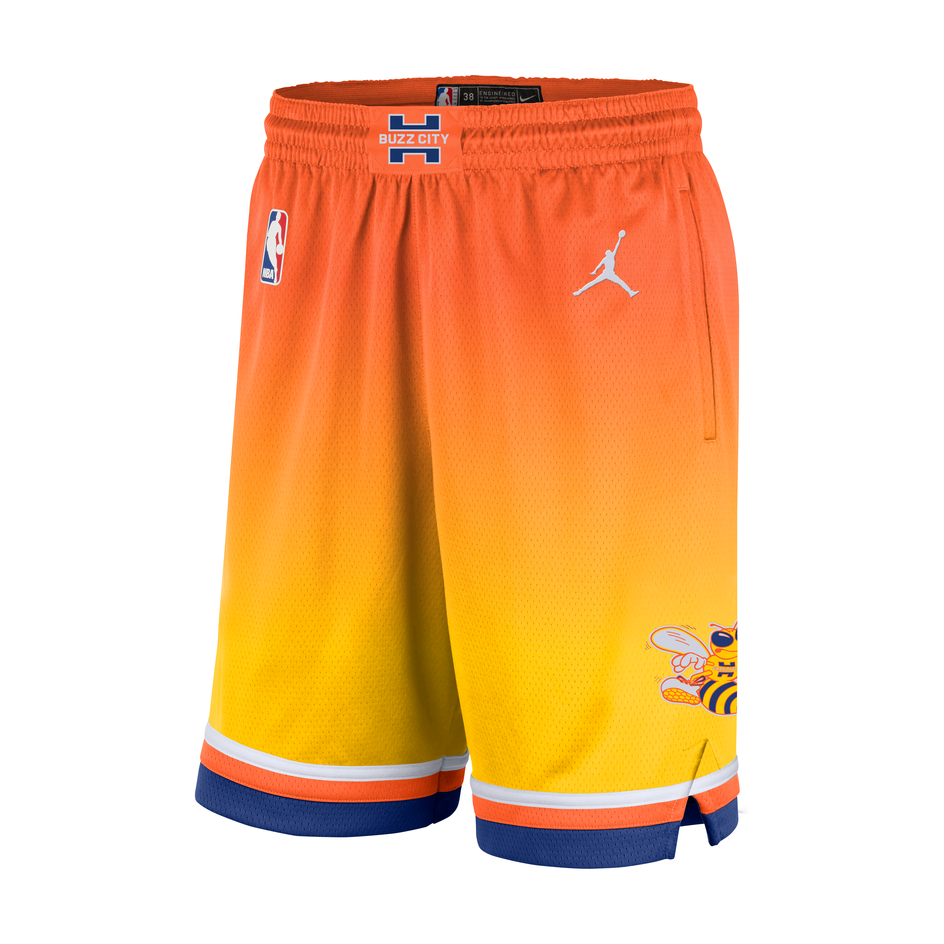 Charlotte Hornets City Edition Men's Nike Dri-FIT NBA Swingman Shorts