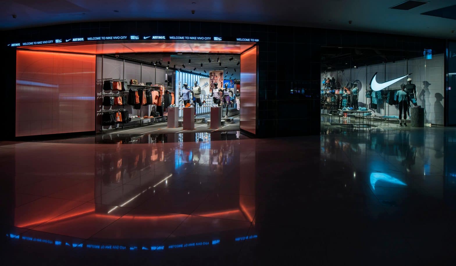 Nike Vivo L1
