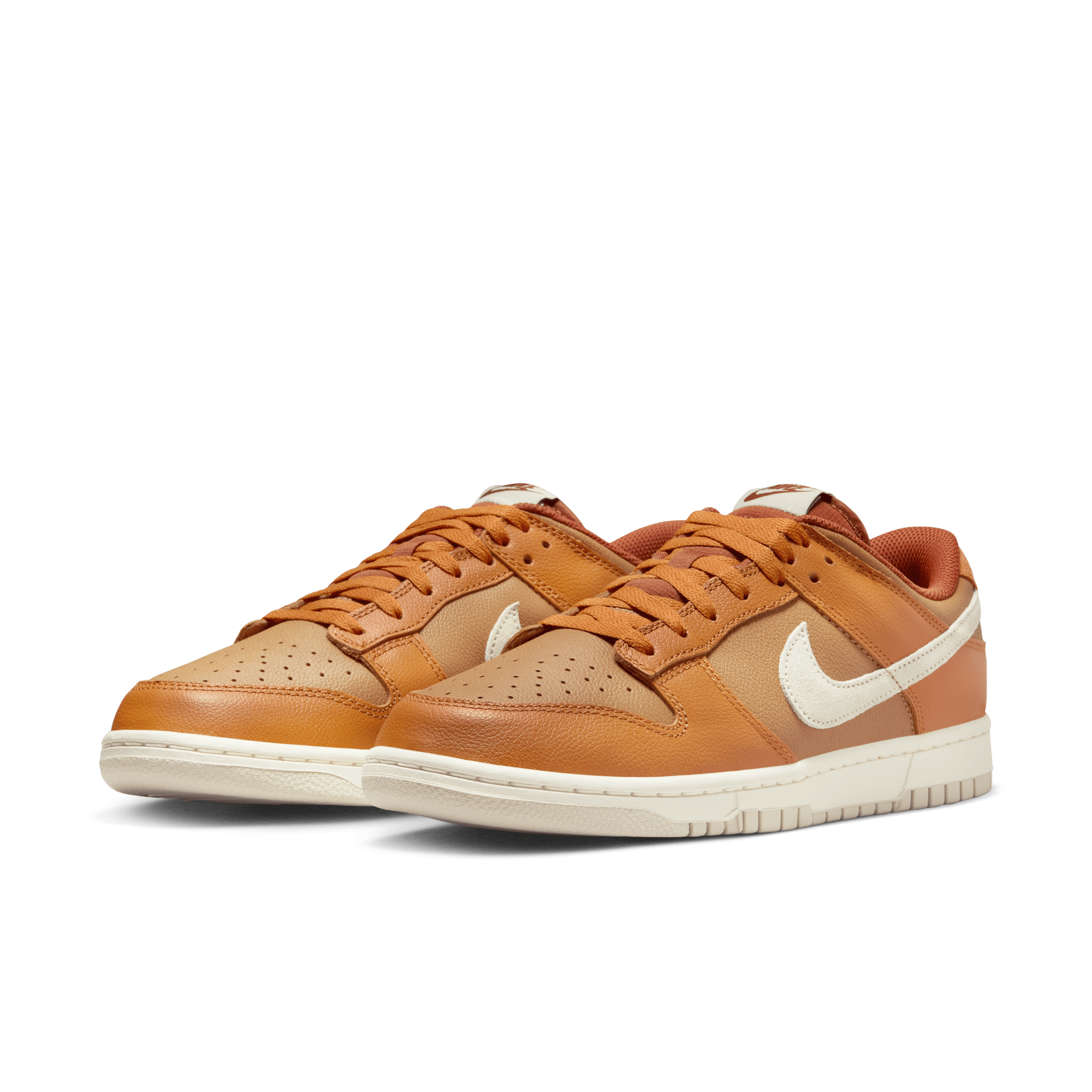 Nike Dunk Low Retro SE Men's Shoes