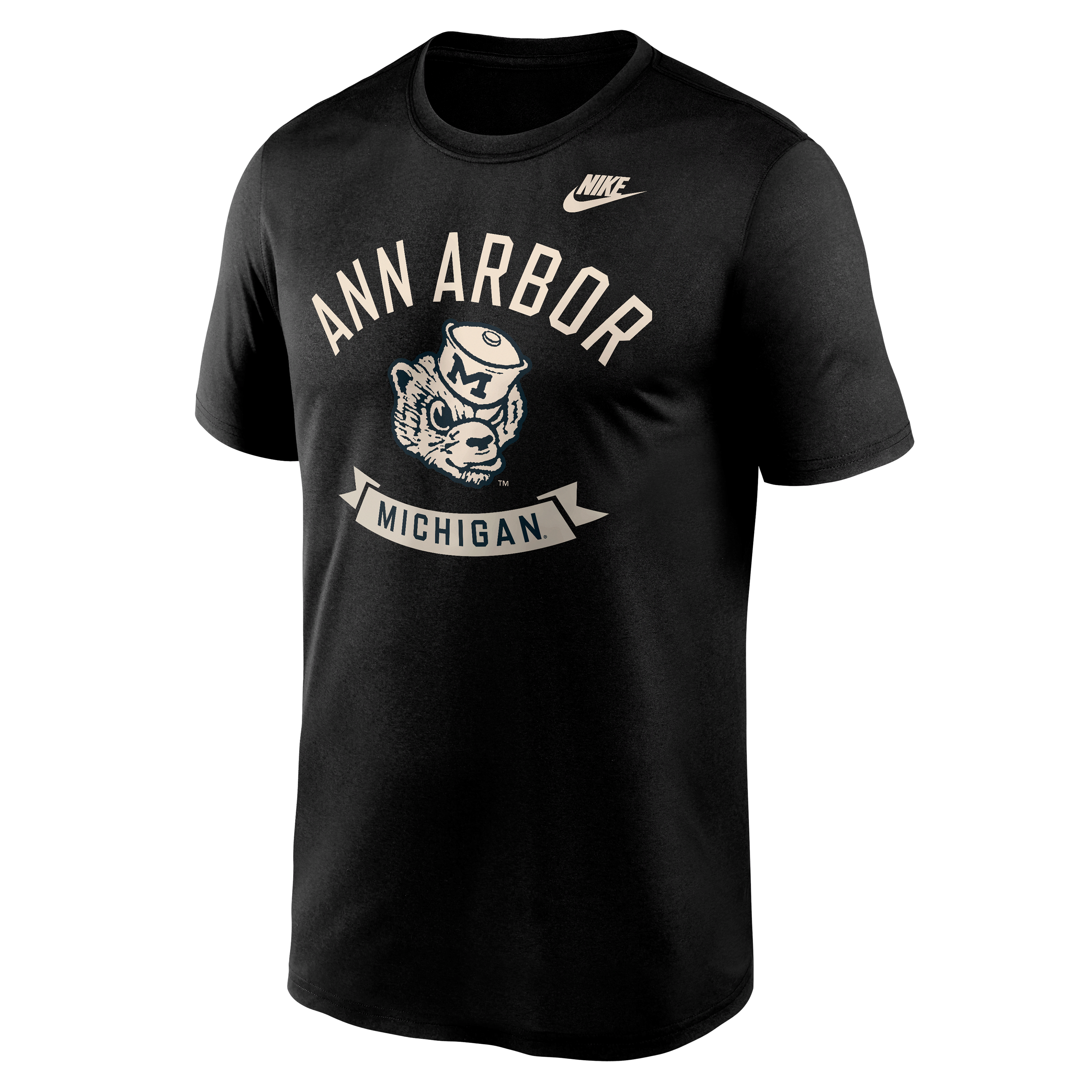 Michigan Hometown Legend Men's Nike Dri-FIT College T-Shirt