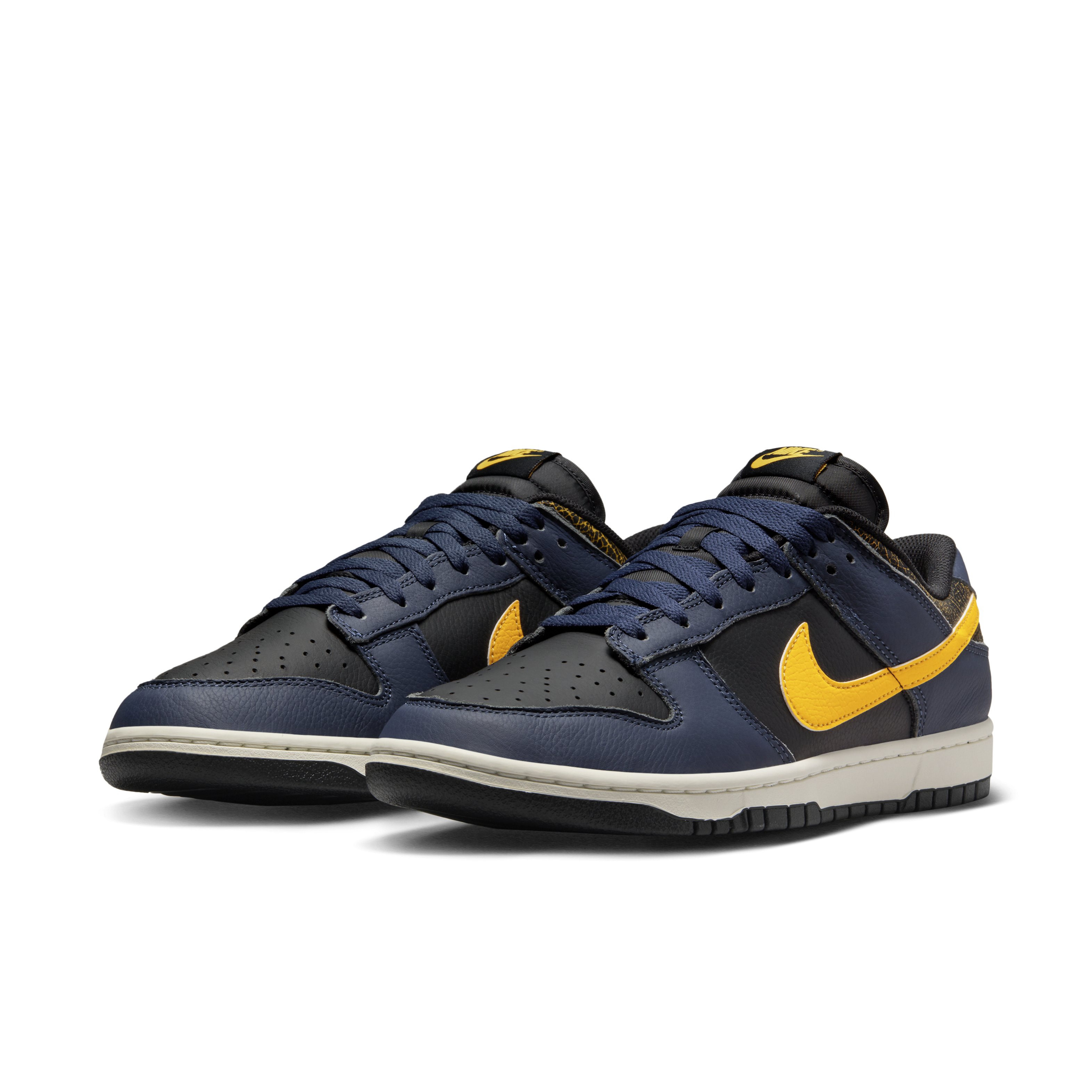 Nike Dunk Low Retro Men's Shoes