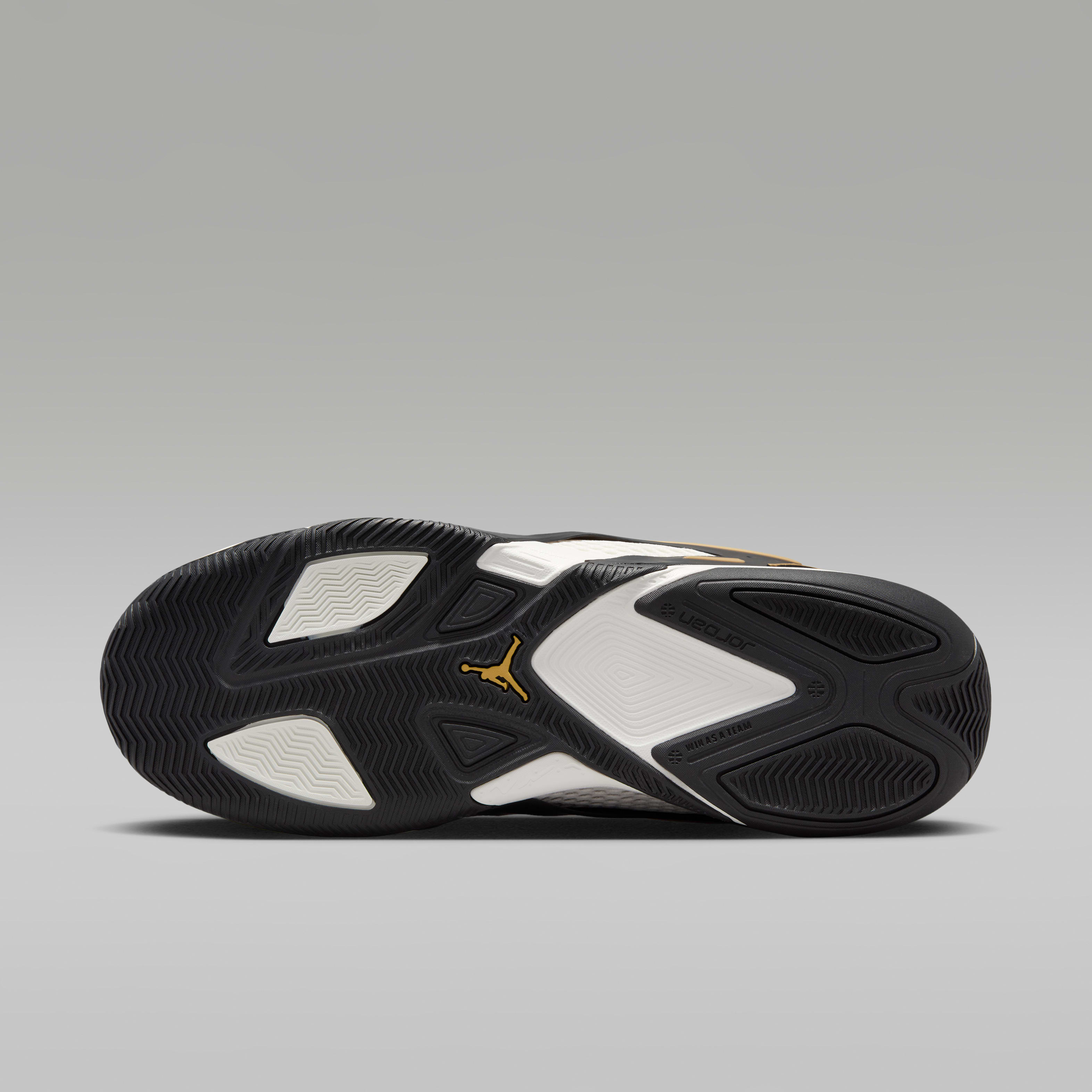 Jordan Heir Series "Bloodline" Basketball Shoes