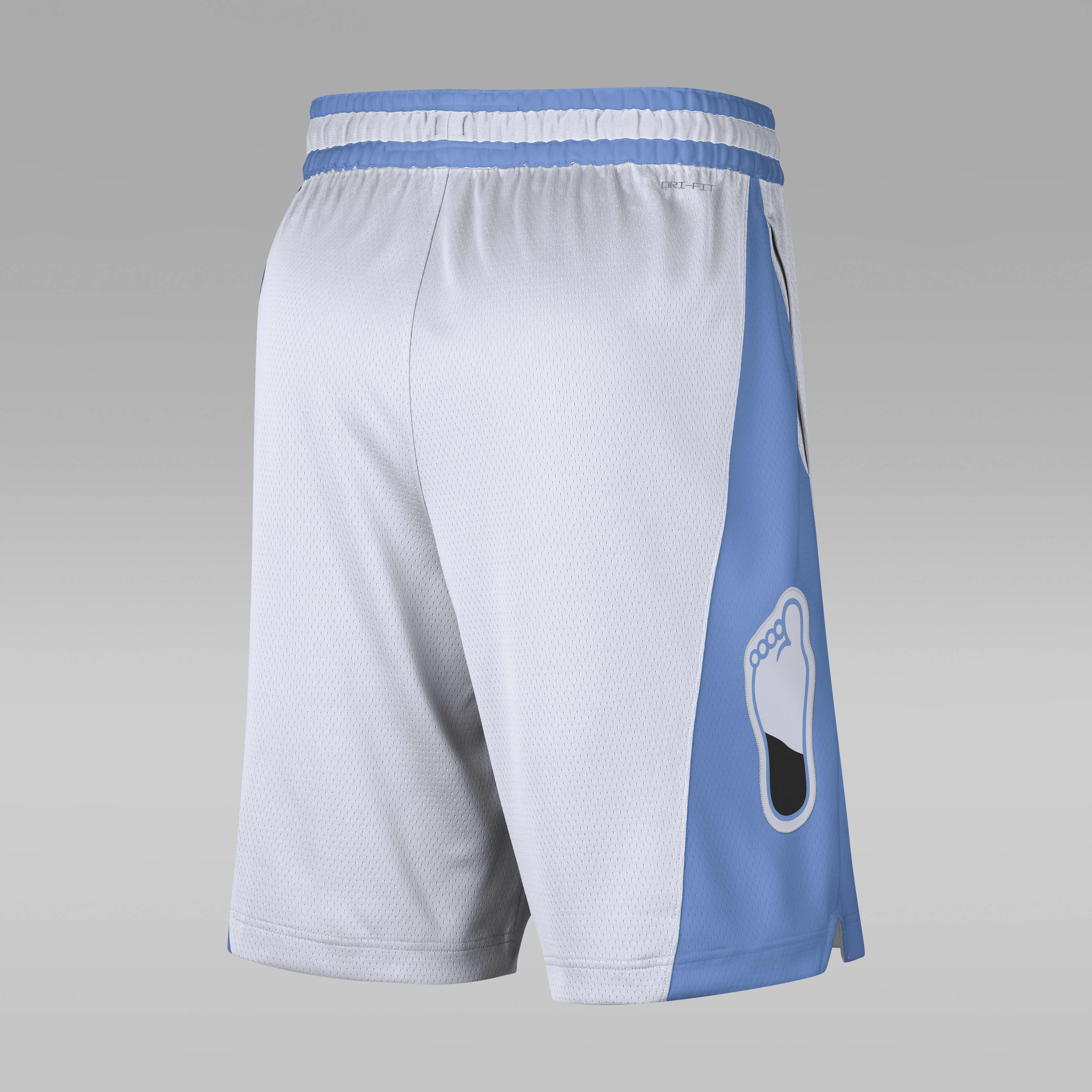 UNC Limited Men's Jordan Dri-FIT College Basketball Shorts