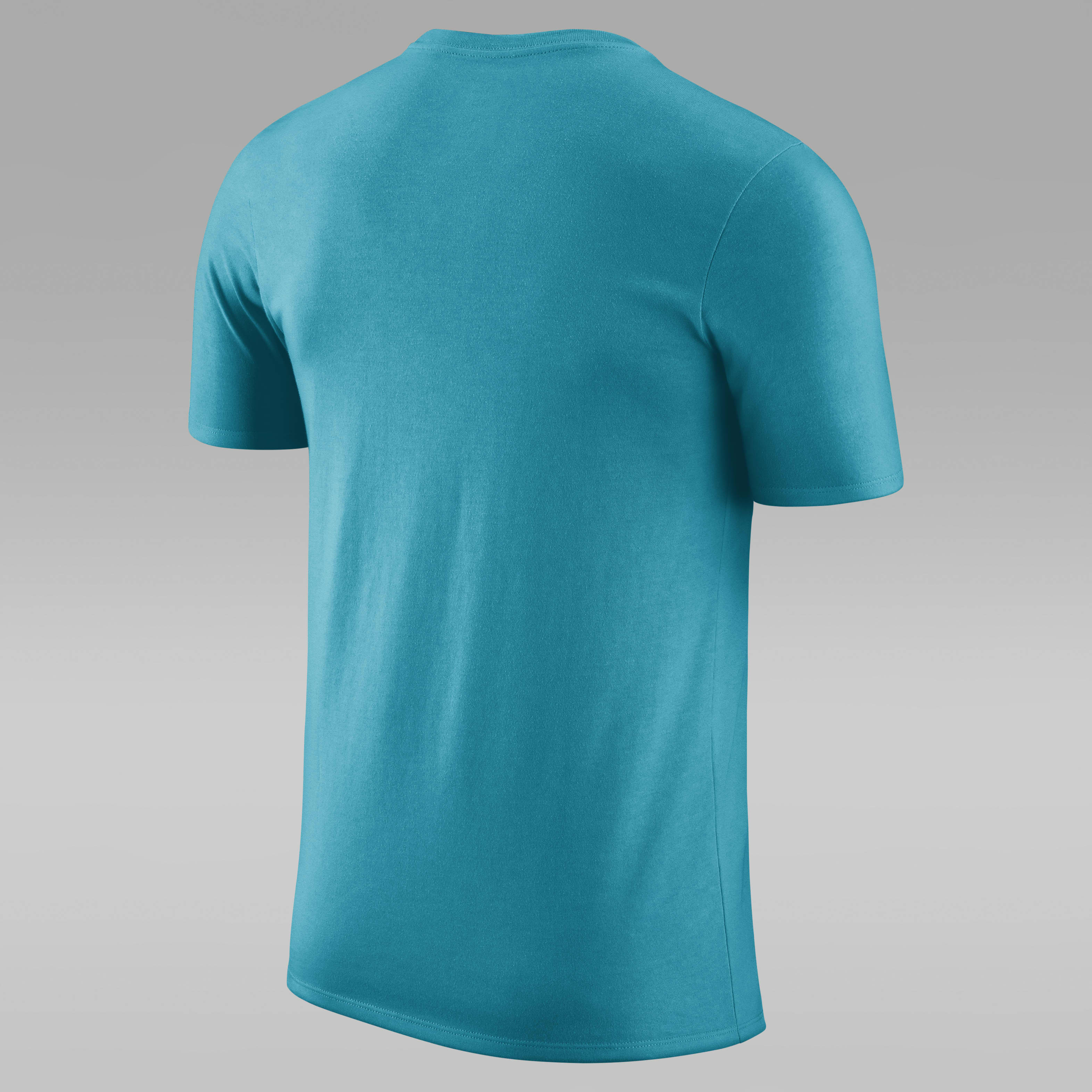 Charlotte Hornets Men's Jordan Dri-FIT NBA T-Shirt