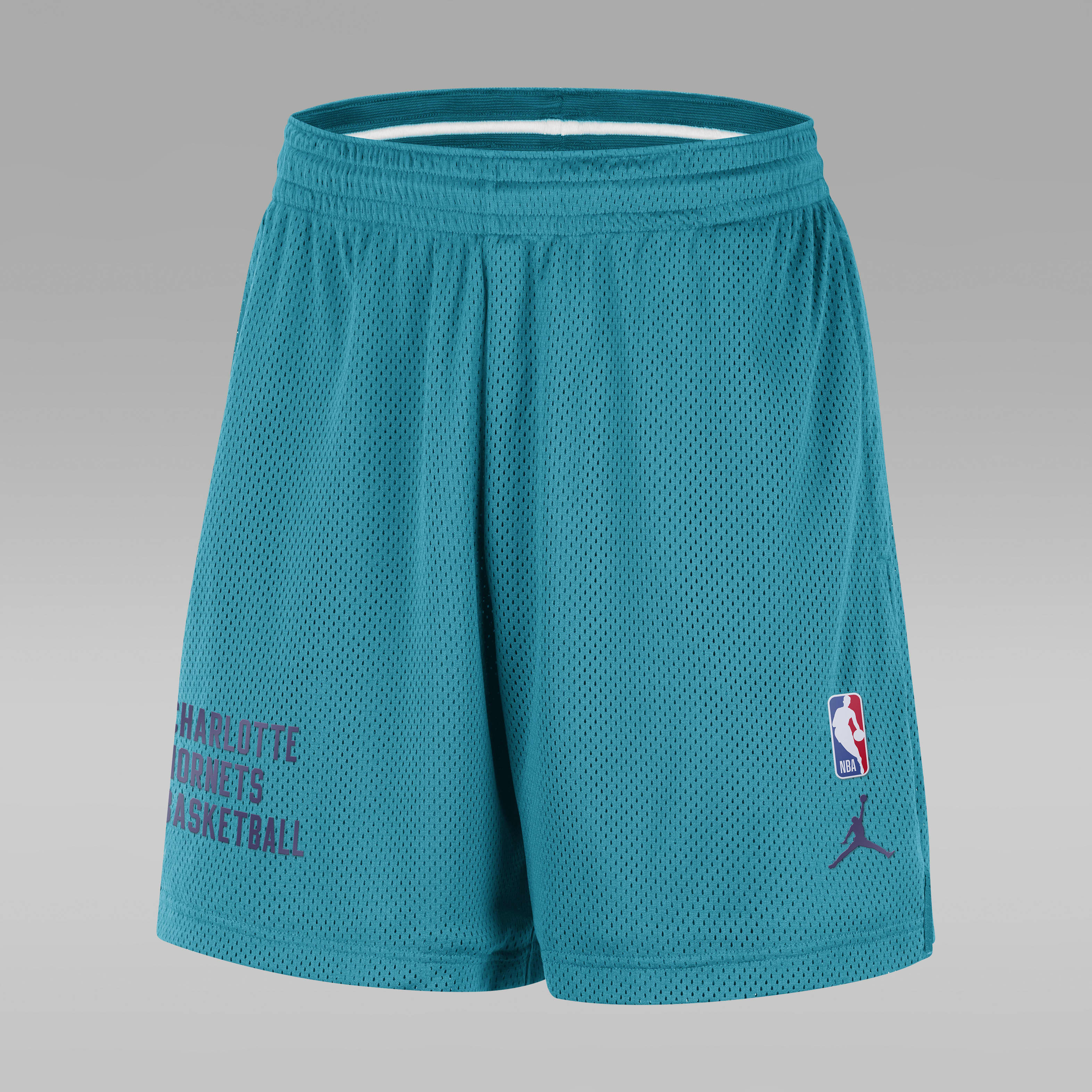 Charlotte Hornets Men's Nike NBA Mesh Shorts