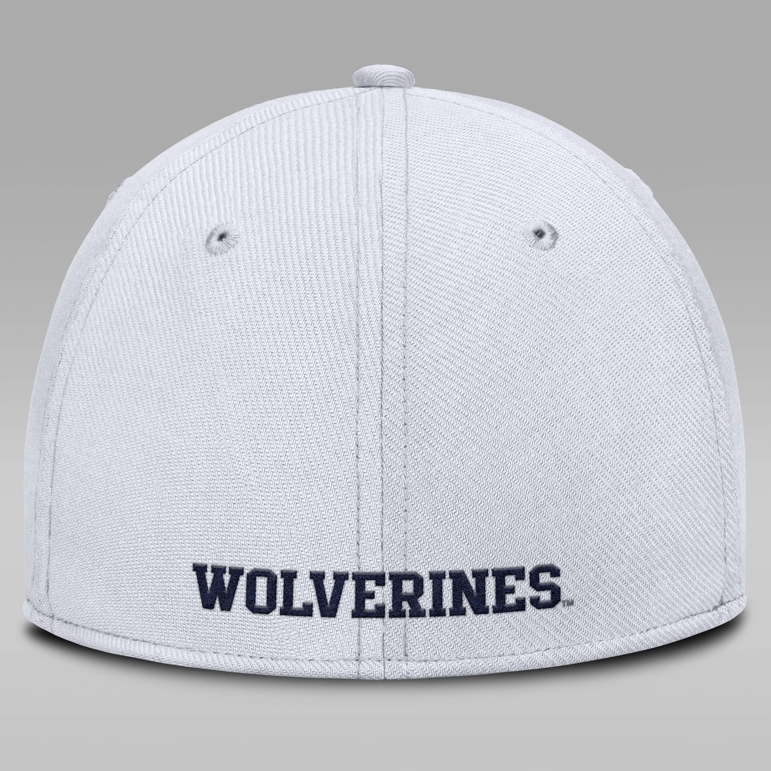 Michigan On-Field Rise Swoosh Men's Jordan Brand Dri-FIT College Hat