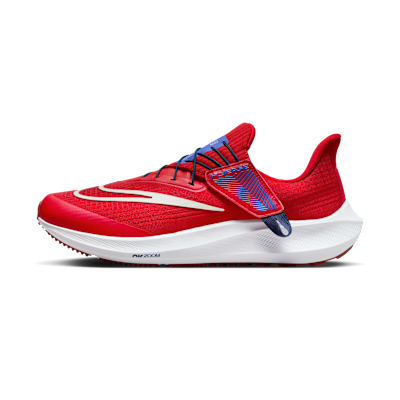 Nike Pegasus FlyEase