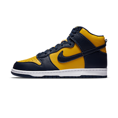 Nike Dunk High SP