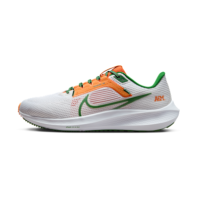 Nike Pegasus 40 (FAMU)
