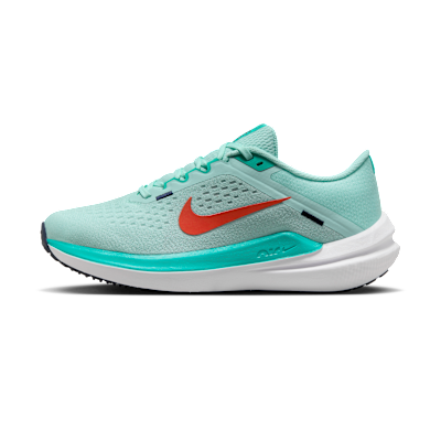 Nike Winflo 10