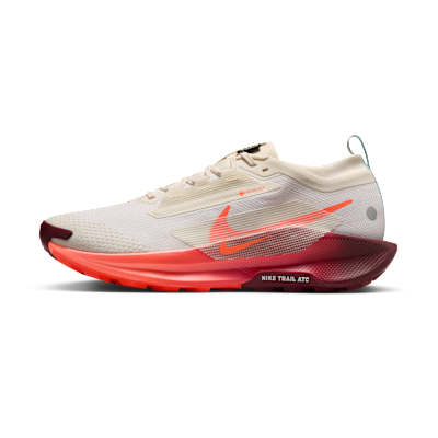 Nike Pegasus Trail 5 GORE-TEX
