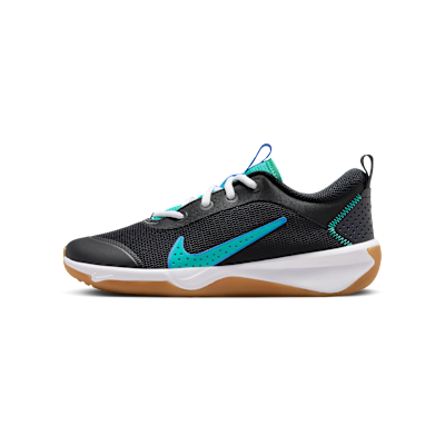 Nike Omni Multi-Court