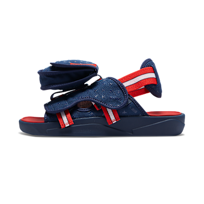 Jordan LS x Paris Saint-Germain