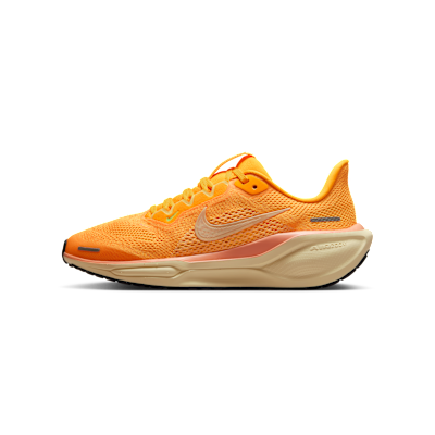Nike Pegasus 41