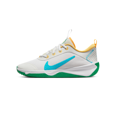 Nike Omni Multi-Court