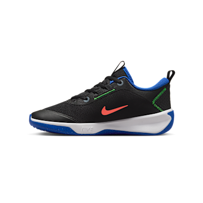 Nike Omni Multi-Court