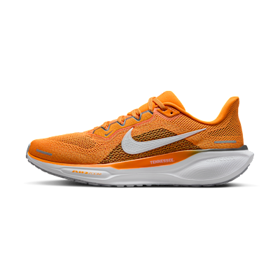 Tennessee Pegasus 41