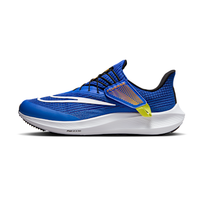 Nike Pegasus FlyEase