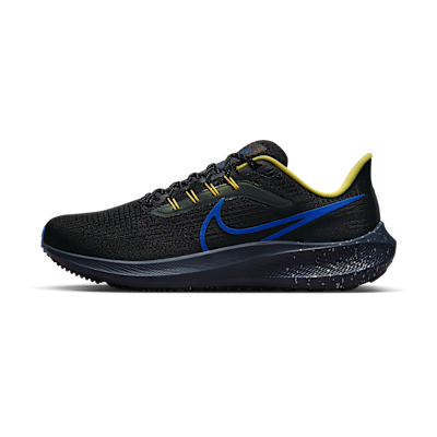 Nike Pegasus 39