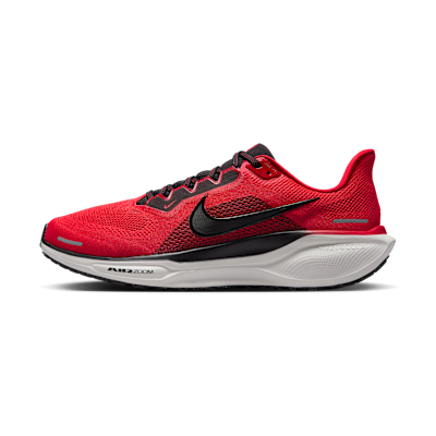 Nike Pegasus 41